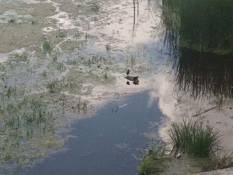 ���������� �� ����������, � �������� �� �����: ������� ������� ��������� �� ��������