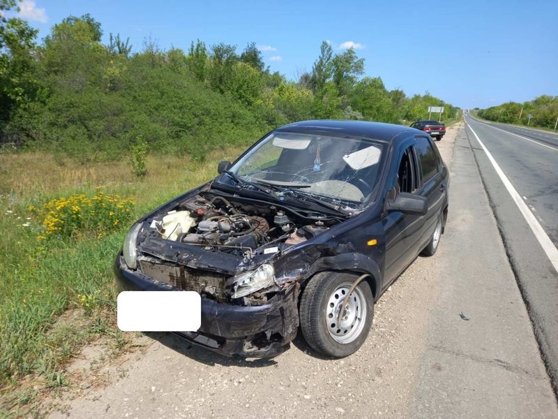 �������� ���������� �� �������������� �������, ������������� � ��� �� ����������� �����������, � ���� � �������� �� ����� 