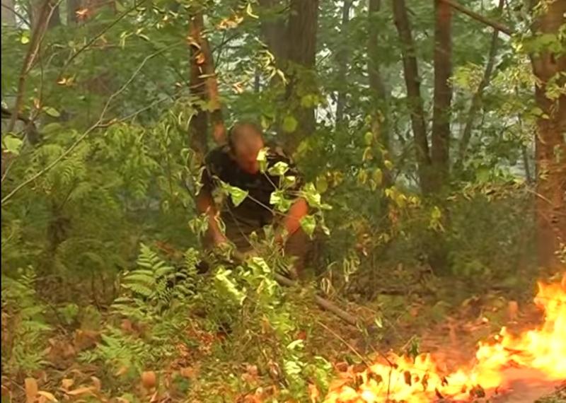 ����� ������ 156 ��: ������� ������ ����� � ��������� ������� ������������ 