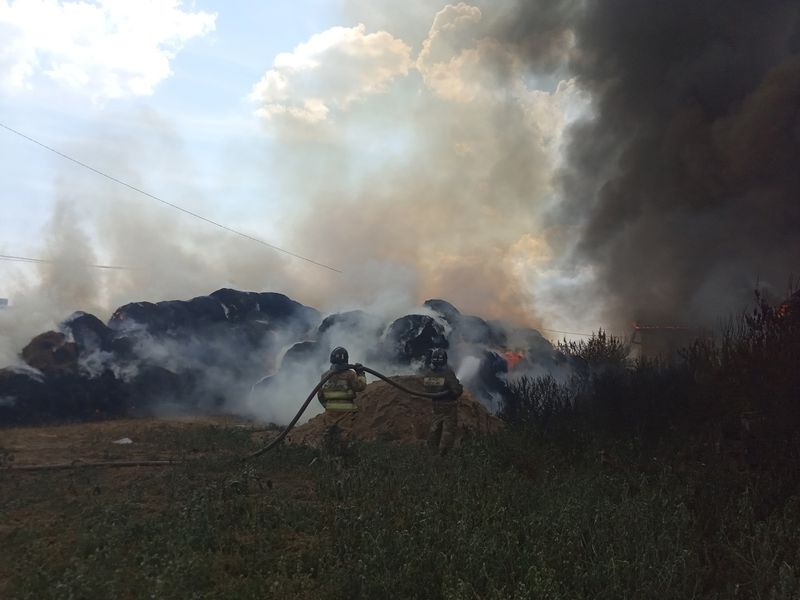 ���������� ������ ��������������� ���� �� �������� ���������, �������� ���������� ���� ������