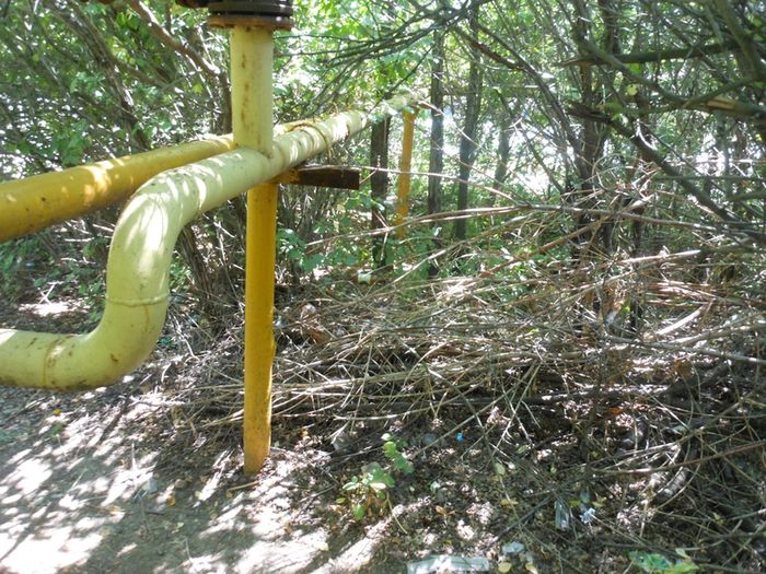 ����� ��� �� ��������� �����: ������� �������� ��������, ��� �� ��������, � �� ���� ������� ���������� ����� ���������� � ����� ������