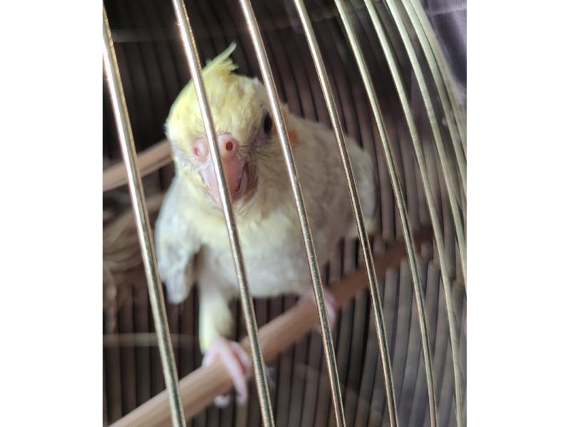 ����������-������� ��������� �� ��������� � ������� ��������� ��������� ����