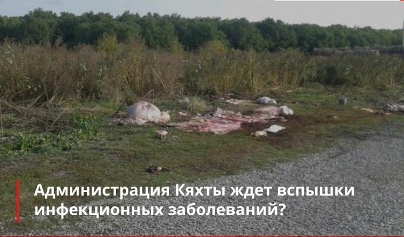 � ��������� ������ ����� ����� ��������� ��������������, �� ������ �natur-������� �� ������ 