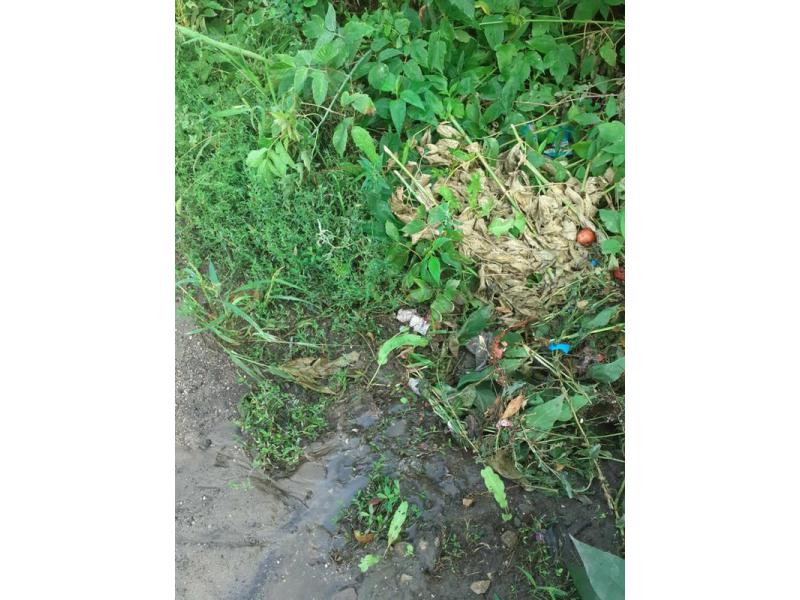 ������ ���, ��� � �����!� ������ ������� ��������� ��� ������ ������� �� ����� ����� ��� �������� ����. �� ���� �� ���� �� ������ 