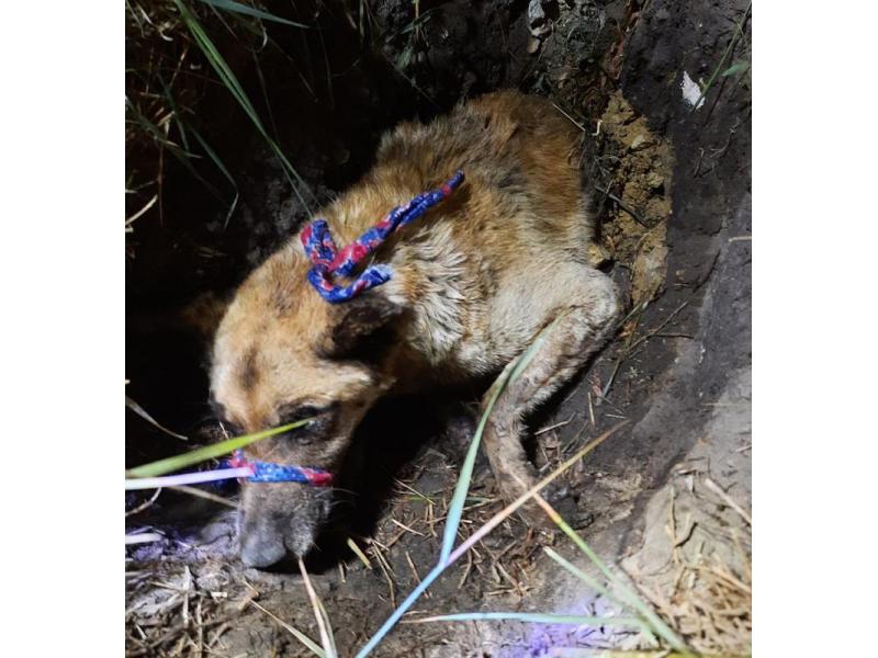 ���� �������� �� ������: ������� ������� ��������� ���������� � ����������� ������ ���  