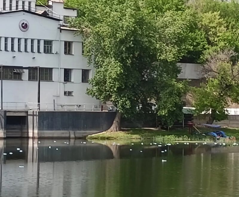 ���� ��������� - ��� ����? � ���������������� �� ����� ������, ����� ����������� � ������� � ������������ � �������� ��������  