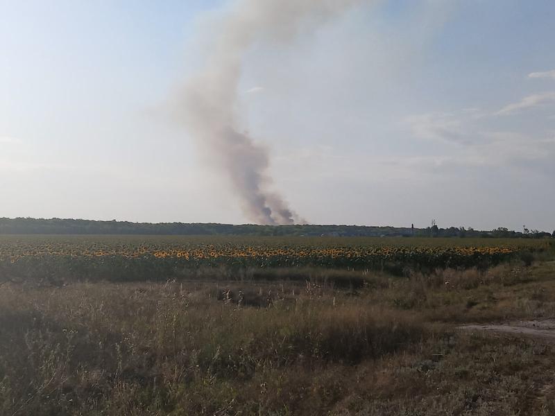 � ������� ���� ���������� ������ ��������� ����� ��� ����� ������� �����. ����� ������� 300 ���������� ������ 