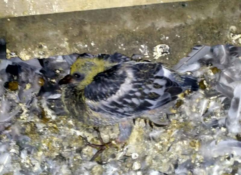 �������� �� ������� ������ ���� � �����, � ����� ���������� ���� 