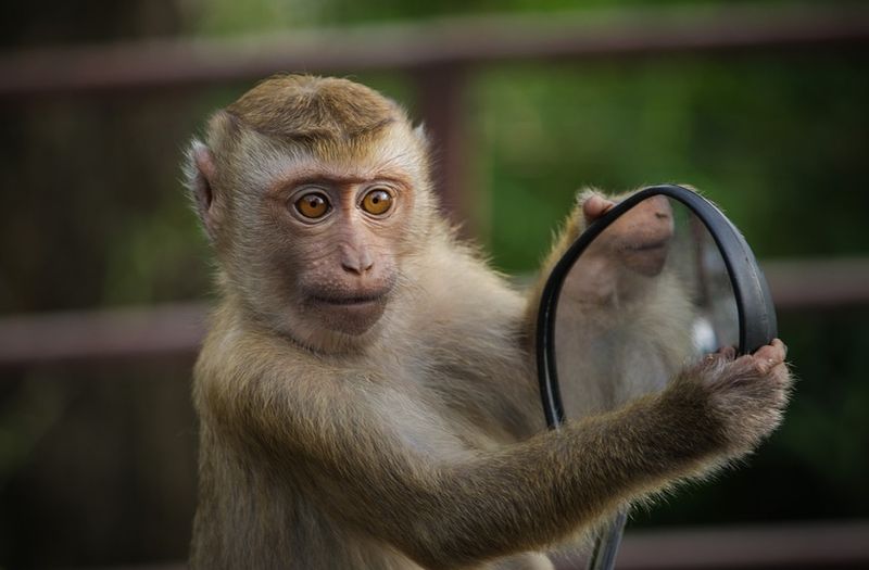 � 4 ���� ���� �������� ������ ������� �������� �������� ���� � ���� - � ��� � ��� ������� ��������