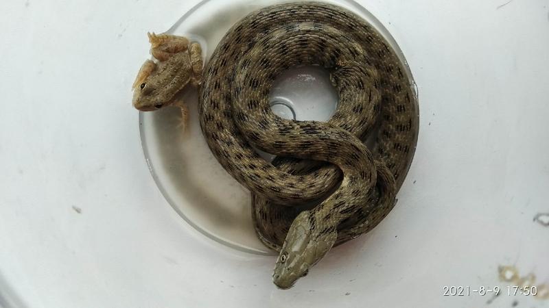 ��������� ����� ���� ����������� ���� � ������ �� � ������� 