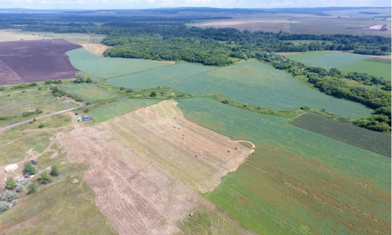 ������� ����������� ���������� � ���� ������������� ����� � �������� 