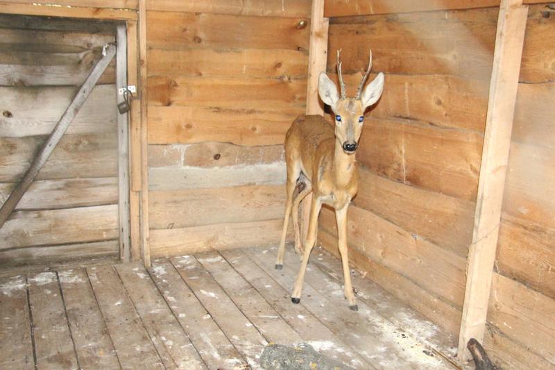 ���������� ���������������� ������ � �������� ������ ����� ������ �� ���� ����� �����