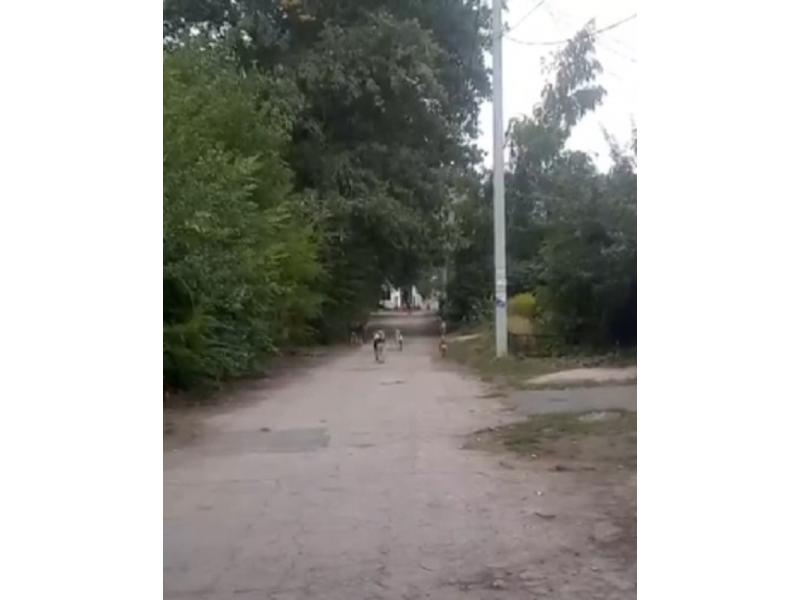 ��������� ��� ���������� ���������� ����� ������� � ������� ������ ����������� ������� ������