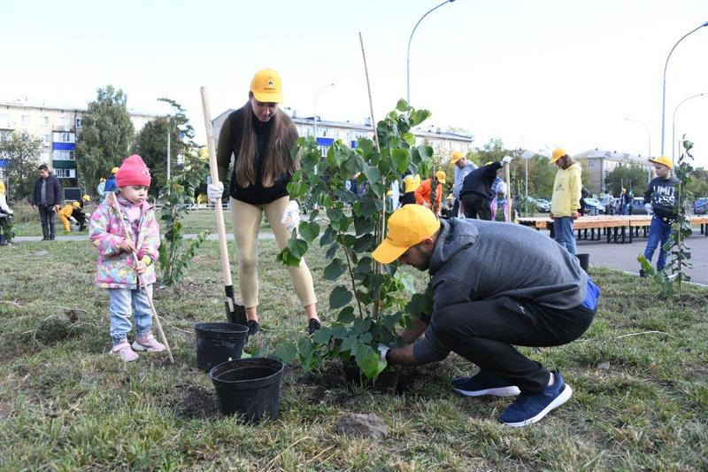 �������� �������: ������������������ �������� �� ������������ �������� 150 ���