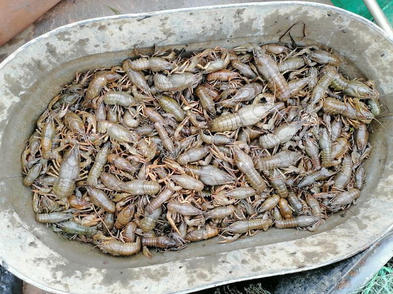 ����������� 614 ����� � ����� �� ��� �� ������ ��������� ���� ����������� 