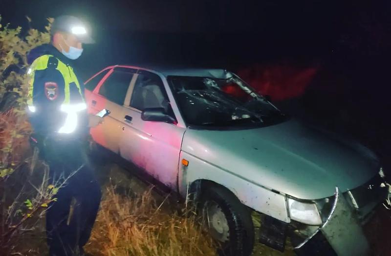 ���������� ����� �� �����: ���������������� ������� ���������� ������ ������������ ��� 