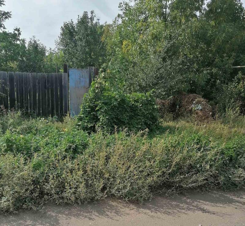 ���������� �����, ������� ������������ �� ������ � ��������� - � ��� ������������ ����� ������ � �� ��������� 