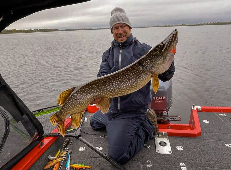 ����� �� ������ ������� � ������� �� ��������� ����� � ���� 12 ��������� ����������� - ���� �� ����� �������� �� 8,5 ��