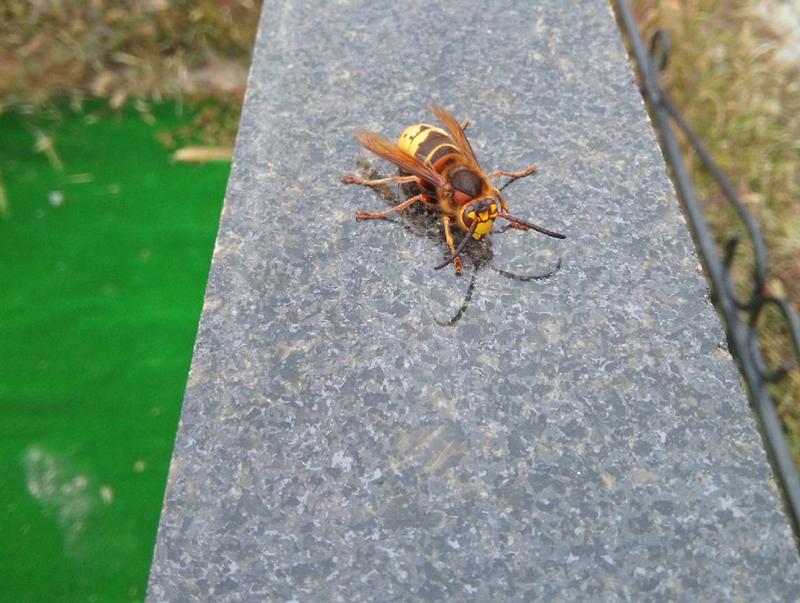 ������� ��������� ������� ������� �� ���������� �������� � ����� ������� �� ����� 