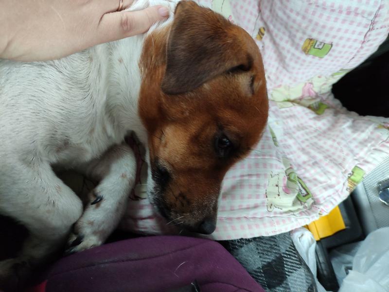 ���������� ����� ������ ��� �������� ������: ��� ����� ������� ���