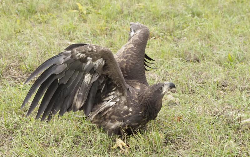 � ��������� ������ ��������� �� ���� �������. ����� 