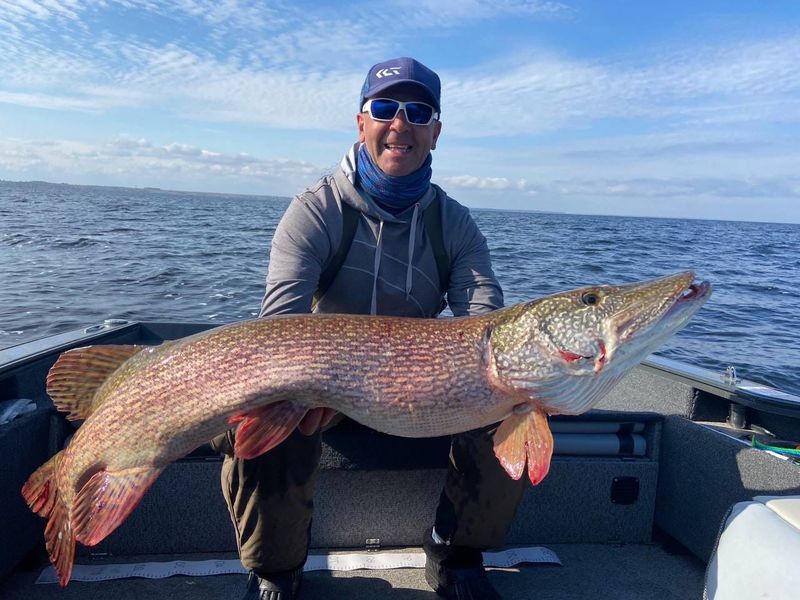 ������ �������� � ������ ������: ����� �� ������� ������� � �������� � ���� ���������� ��������� ����� ����� 12 �����������. �����