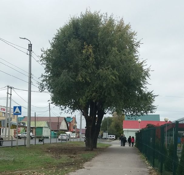 �������� ��������, ��� ������������� ��������� ���������� ������� � ��������