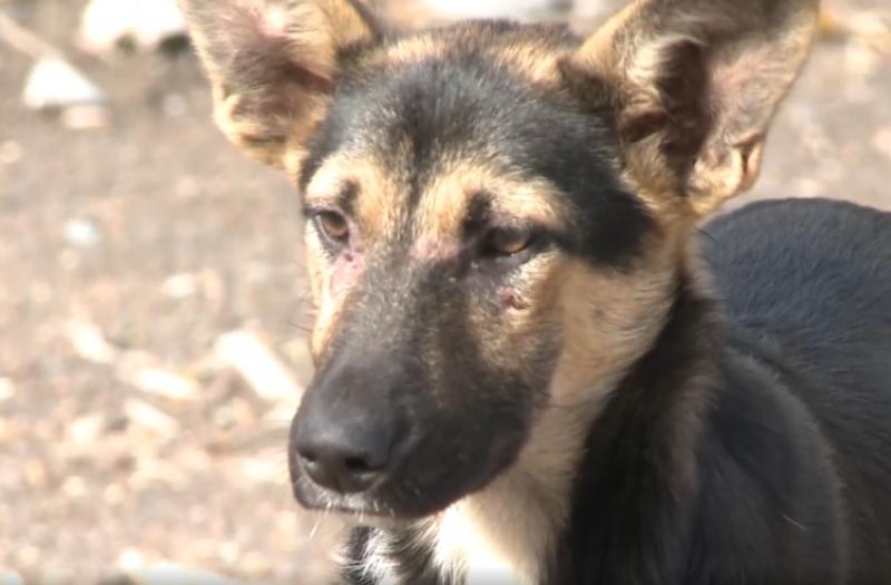 ������ ������� ��������� � ����� �������� - � ������� ����� ����� �������: �����  