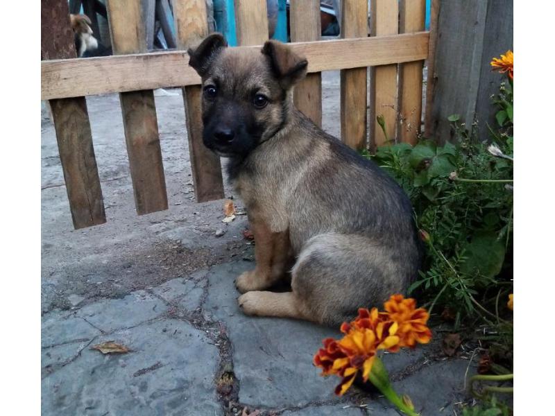 ������ ������� ������ � �������� ����� �������: ���� � ���� ��� 