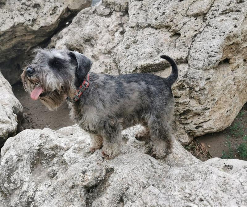 ��������� ������������ ������ ���������� ����� ������������� �������
