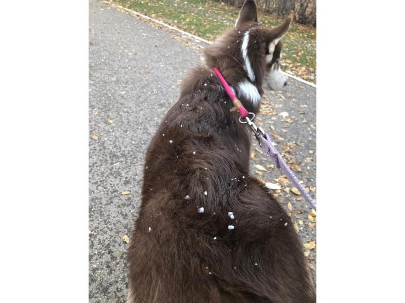 � ��������� ������� ����� ����, � ����� ����. ������ ���� 