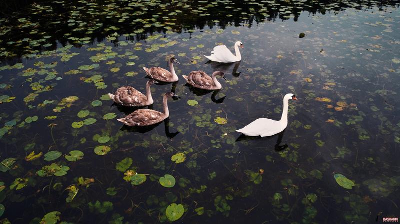 ������ �� ���������� ����� ������� ��� ������ ������������ - � �������� ������ � ��������. �����  