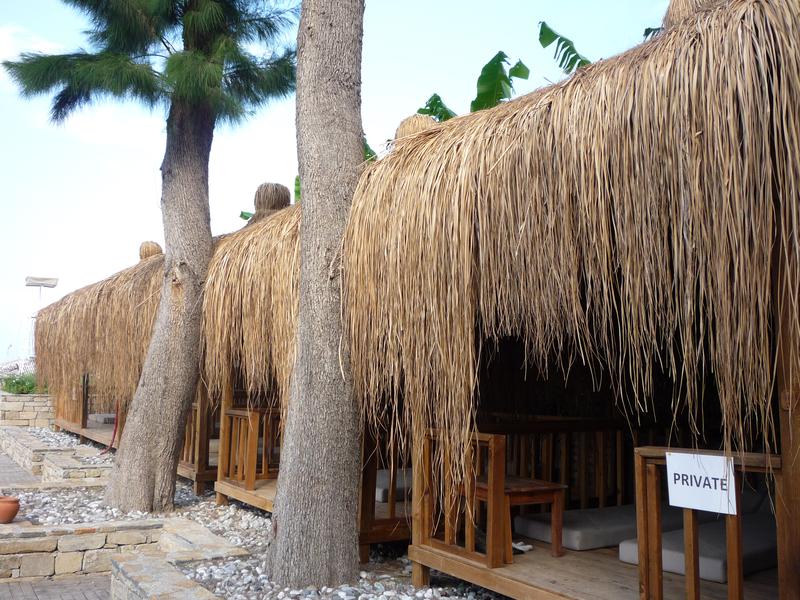 ��� �� �����? �� ��������� ������ ����� �� ���� � ������ ��������� �����
