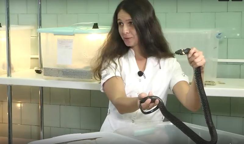 ���� �� ����� ������ �� ��������: ���������� ������� �������� �����, ���������� ������� ����������. �����    