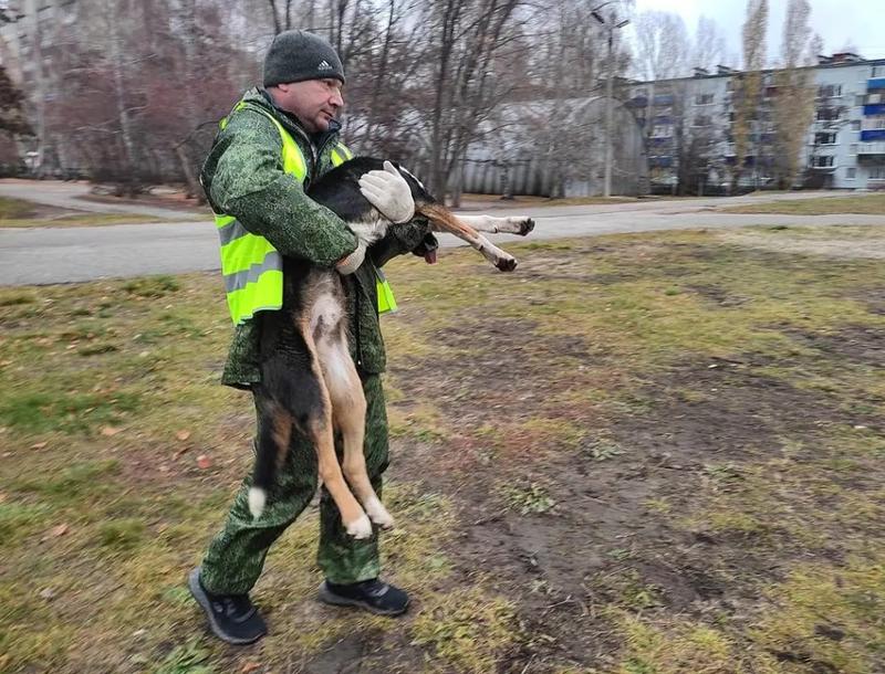 ������ ������� ��������� �������� �� �� �������� ����� 