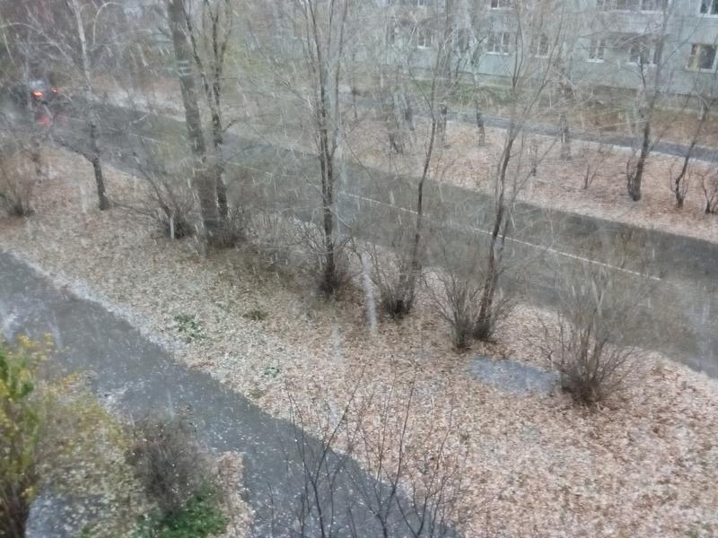 � ����� �� ���� �� ���������? ��� �������� �� ���� � ������� 