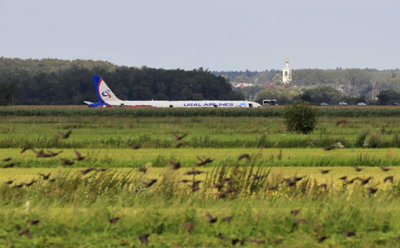 ������, ������� ������� � ���������� ���� ����� ������, �������� ������ �� ����� 