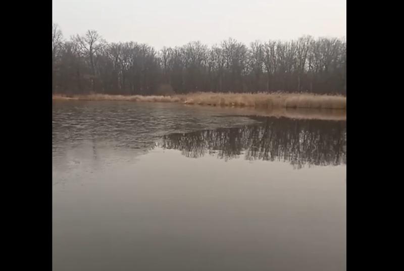 ��������, ����������, �� �������...� ������ ������� �������� ������ ������������� ��� 