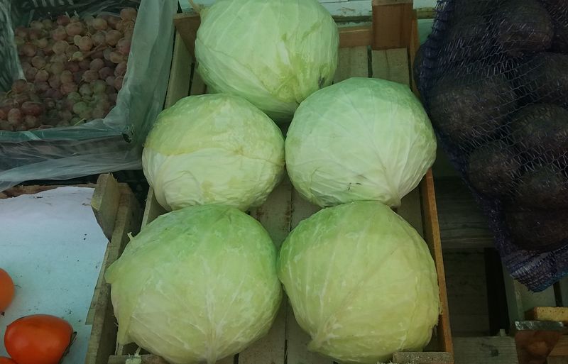 ��� ������ ������ ���������, �������� ���������� ���������� � ���������� � �����, ��� �� ����� ���������� ���� � ������ ���� ����� � ����