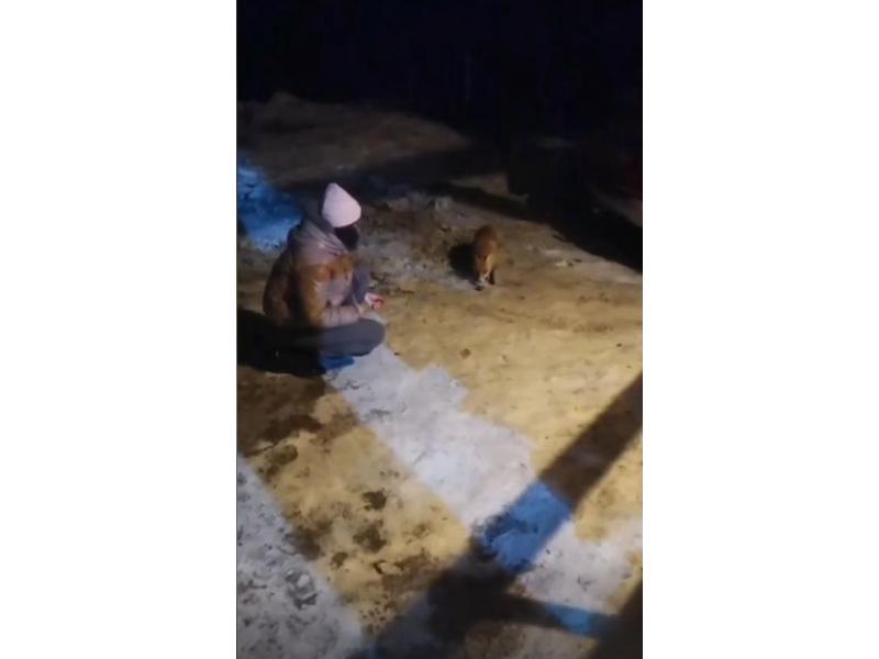 ������� ���������� � ����� �������������� ����, �������� �� �����������. ����� 