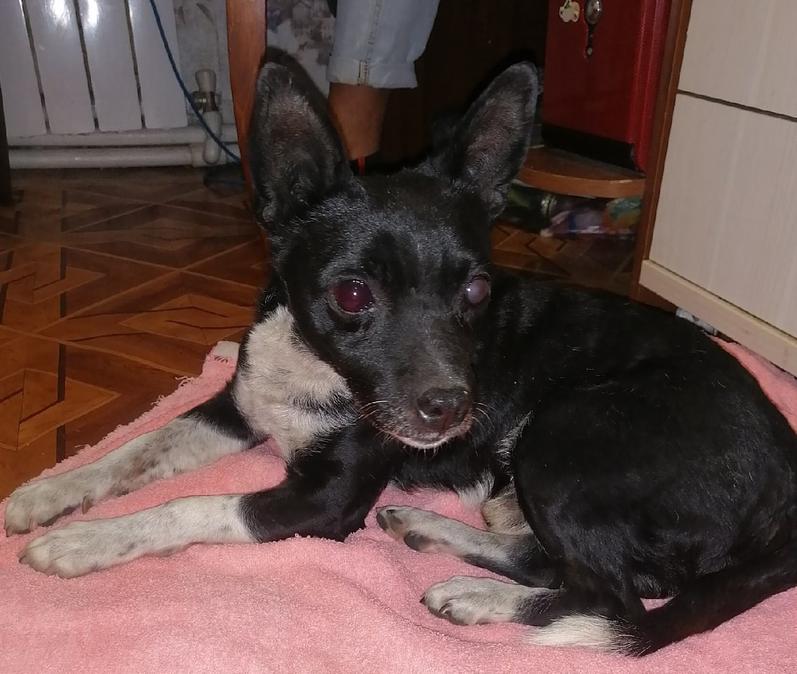 � ������� ��������� ������� ��������������, ��������� � ��������� �����