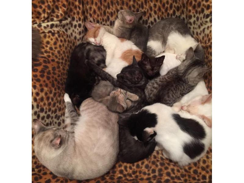 ��� ��� ��� ���?� �������� ������� ��������������� ������������ ����, � ������ �� ����� ������