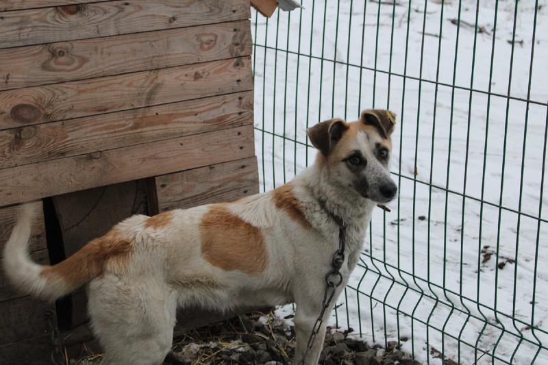 � ������� ���� ������� 600 �� ����� ��� ��������� ��������� ��������