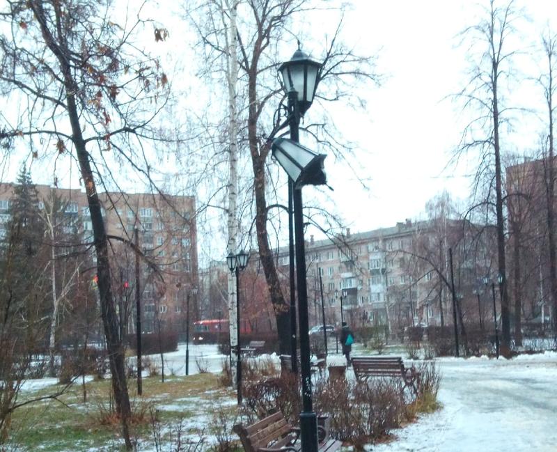 Николь не сумела уберечь Кузнецкий парк от очередной проделки вандалов