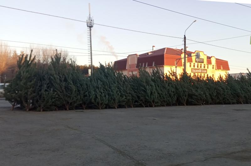 � ������� ����������� ������� ������. � ����� ���� ��������� ���� ������ ���������