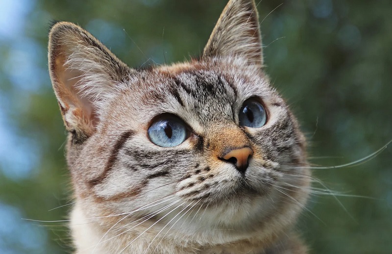 ��������� ������������ �����: ���������� ����� ������ ��� ��������� ����� ����� ��������