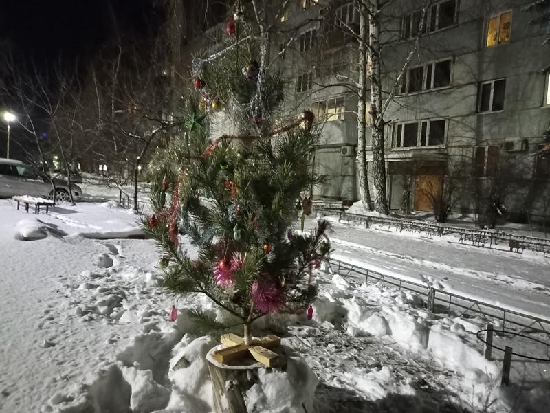 В центре Сызрани «выросла» еще одна новогодняя елка: жители собрали для нее три коробки украшений