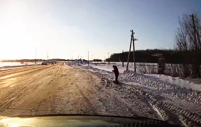 Автомобилист не остался равнодушным, когда увидел идущего в мороз вдоль дороги одинокого паренька 11-12 лет