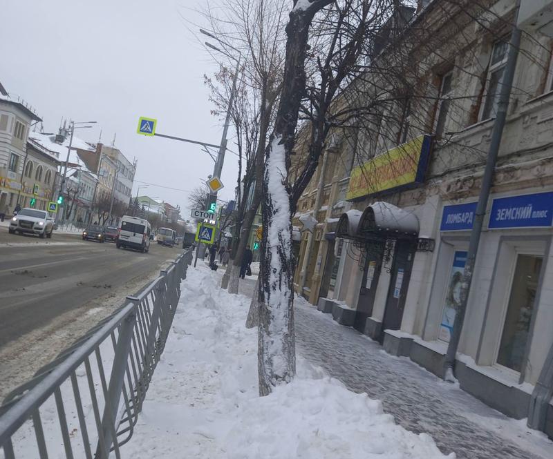 «Джентльмены» с лопатами обложили матом и снегом женщин в Сызрани