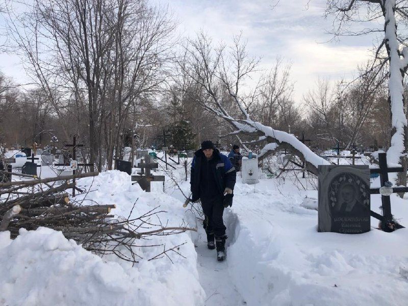 Коммунальщики вывозят снег с парков и скверов Сызрани, сносят деревья на кладбище